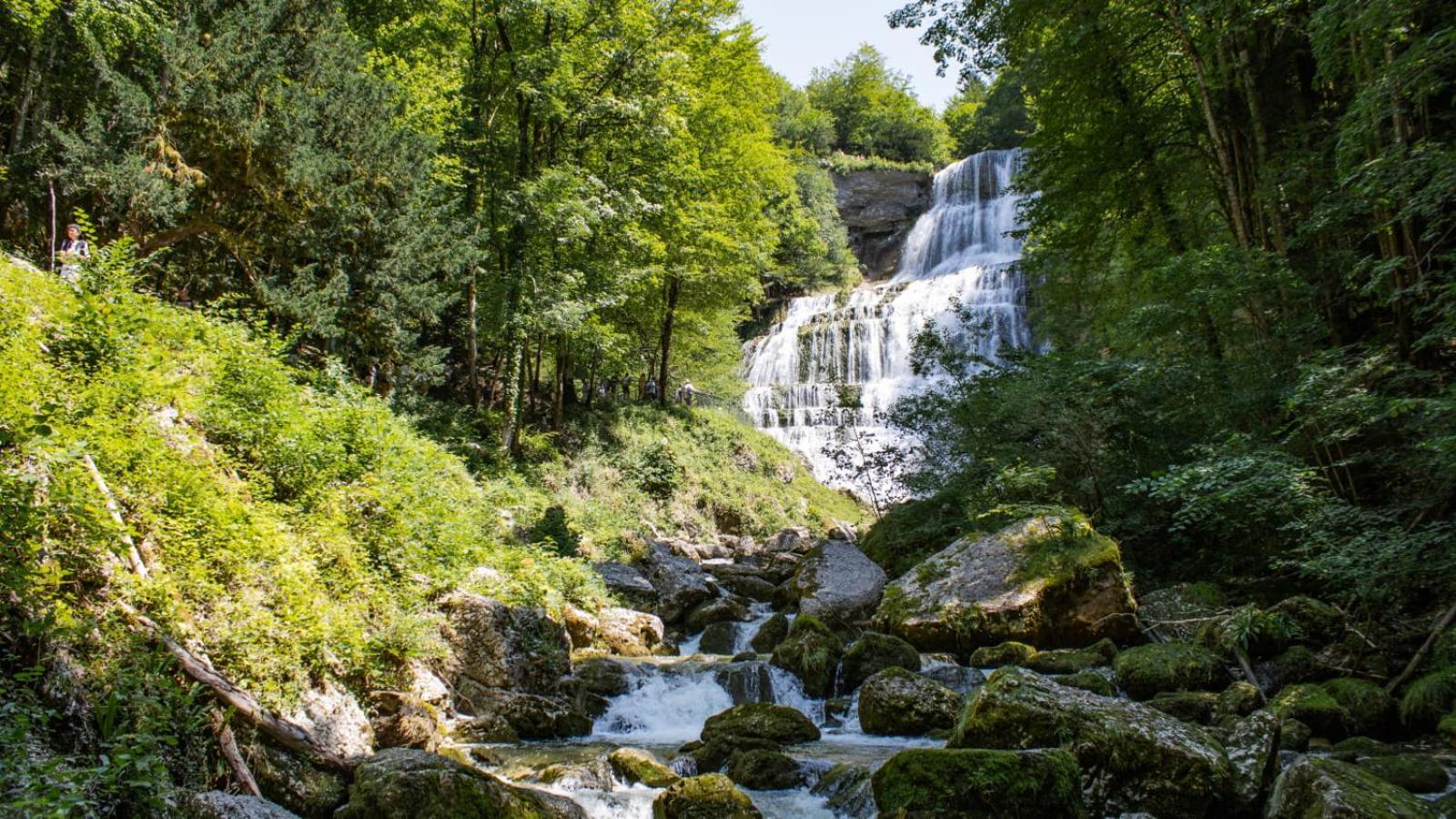 T2 Cosy Au Coeur Du Haut-Jura, Parking Gratuit Apartment Morbier Bagian luar foto